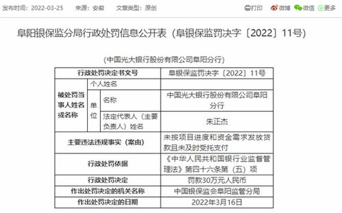 銀行高管終身禁業(yè)敲響警鐘 光大阜陽分行原行長邵杰受賄案揭示金融外包風(fēng)險(xiǎn)